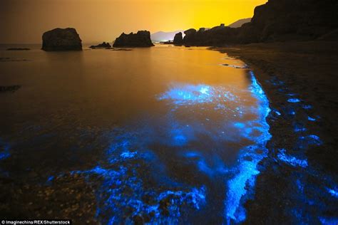 Sea Sparkle Images Show Seawater Glowing A Majestic Shade Due To