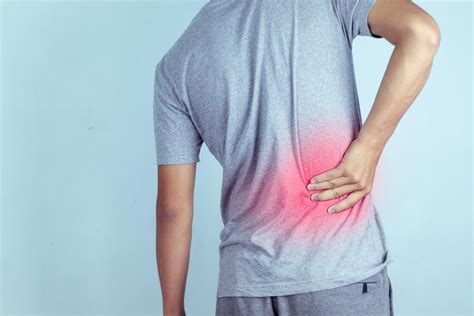 A lower back spasm usually feels like a muscle is firmly contracting or moving. Relieve Your Lower Back Pain and Muscle Strains with a ...
