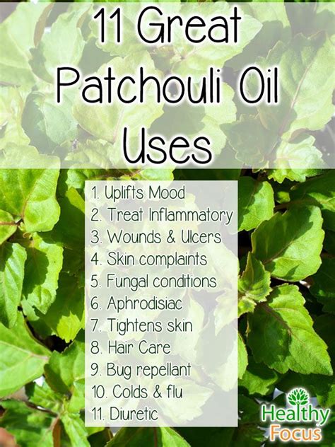 11 Great Patchouli Oil Uses Healthy Focus Patchouli Essential Oil