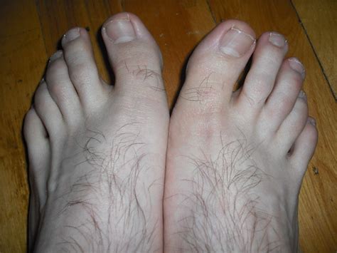 Hairy Legs And Feet Hairy Feet And Toes Close Up Joey Johnny Flickr