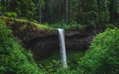 Your Guide To Silver Falls State Park—the Trail Of 10 Falls And More