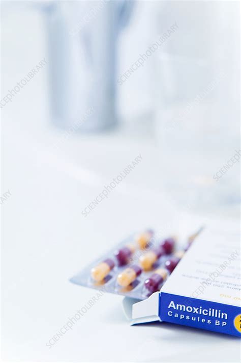 Amoxicillin Antibiotic Pills Stock Image M6251487 Science Photo