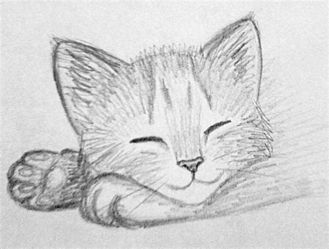 Kitten Sketch 3 By Kridah On Deviantart