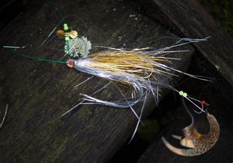10 Best Streamers For Trout An Anglers Guide Into Fly Fishing