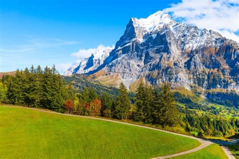 126 Autumn View Eiger Grindelwald Valley Stock Photos Free And Royalty