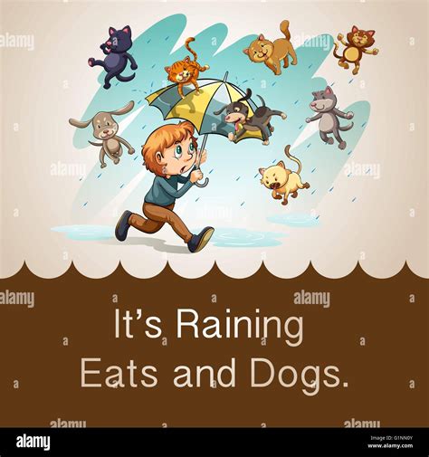 Why Do People Say Its Raining Cats And Dogs