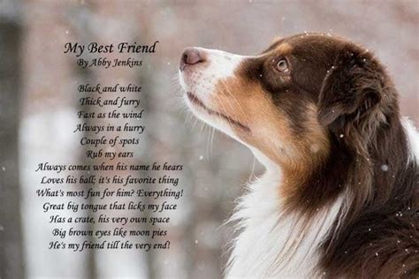 15 Best Dog Poems Love Unconditional Dog Loyalty Poems