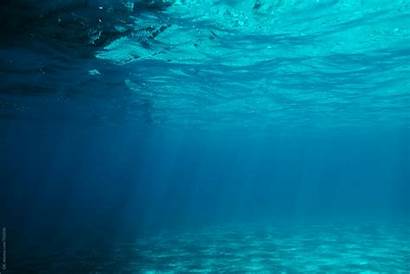 Underwater Sea Clear Ocean Water Stocksy Simon