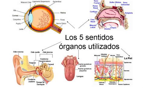 Unidad 4 Medicina Горизонты испанского языка учебники по