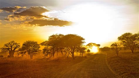 3840x2160 africa, road, sunrise 4K Wallpaper, HD Nature 4K Wallpapers ...