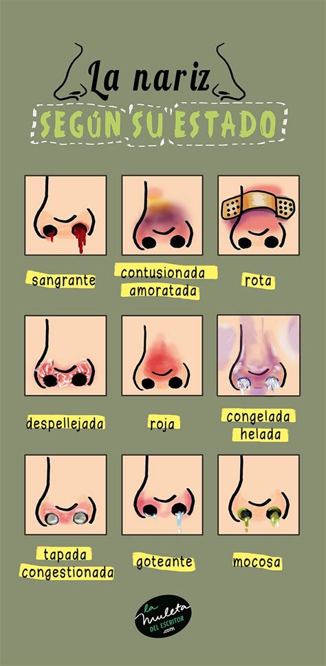 The Spanish Language Poster Shows Different Types Of Nose Shapes And