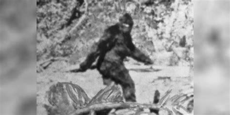 Bigfoot Hunters Beg For Creature To Be Left Alone After Oklahoma