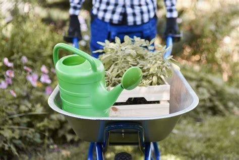 The Kinds Of Gardening Tools You Must Have Thegardengranny