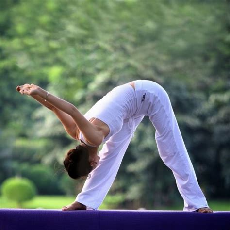 小编教你一些瑜伽入门的基本姿势，超清的 yoga set sweat it out yoga