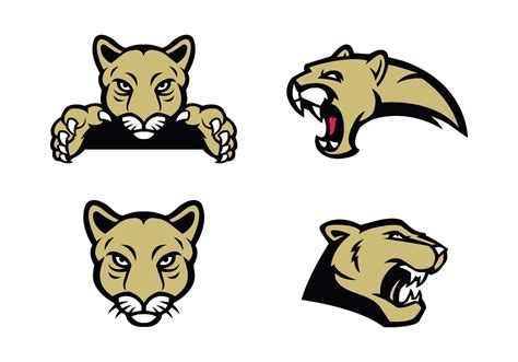 The Best Free Cougar Vector Images Download From 75 Free Vectors Of