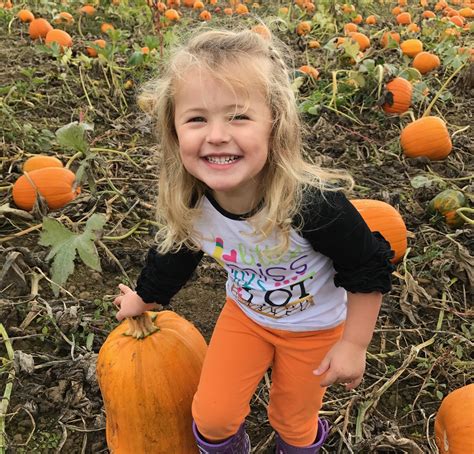 your guide to the best pumpkin patches in san diego best pumpkin patches pumpkin patch best