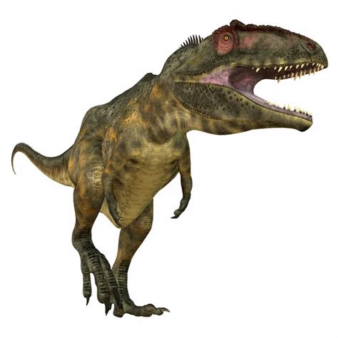 Dinoblog Gigantosaurio
