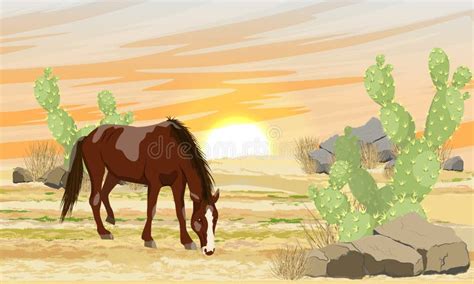 Brown Horse In The Desert At Sunset Sand Stones And Thickets Of