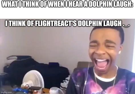 Flightreacts Dolphin Laugh Imgflip