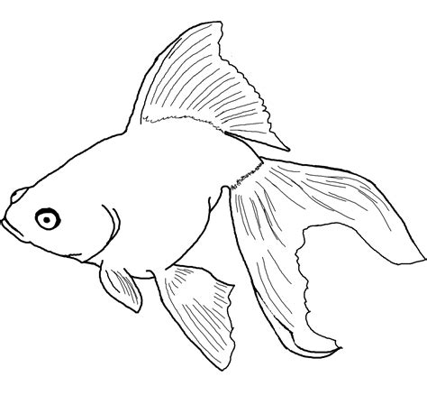 Cartoon Fish Coloring Pages At Free Printable