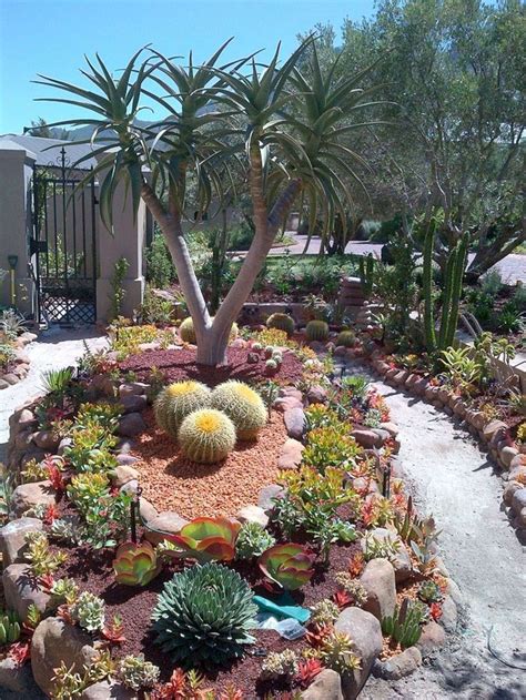 36 Beautiful Cactus Landscaping Ideas For Your Front Yards Decor Succulent Landscaping