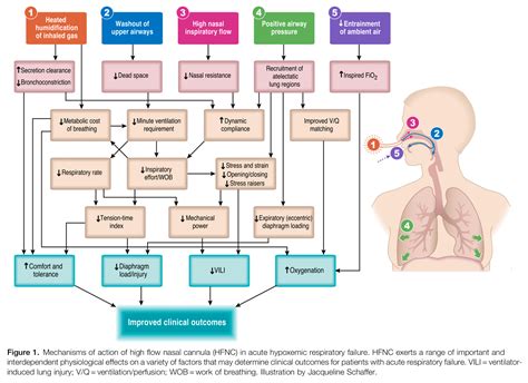 For injecting or withdrawing fluids. #hfnc #highflownasalcannula | GrepMed