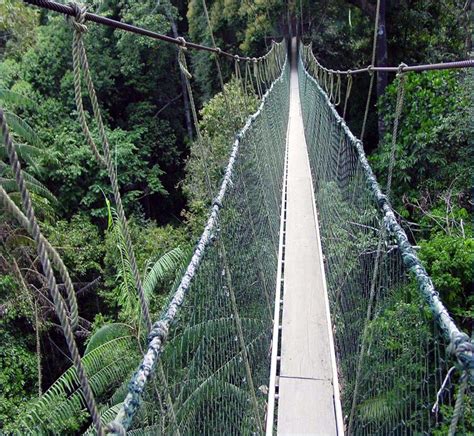 Located at the end of an oil palm estate, kuala koh is unique as compared to the more populous taman negara kuala tahan. 15 Tempat Menarik di Gua Musang Yang Cantik Dan Semulajadi ...