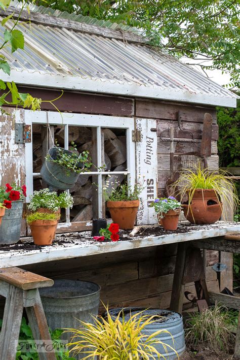 Potting Shed Shutters And New Flowers For The Shedfunky