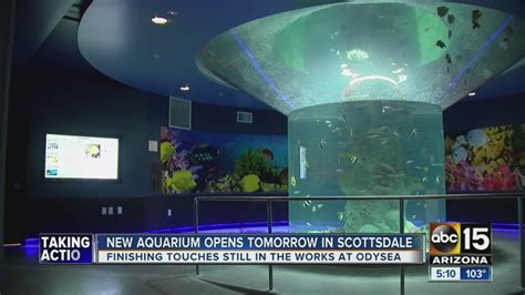 Odysea Aquarium Your Chance To Escape The Desert Into The Deep Blue