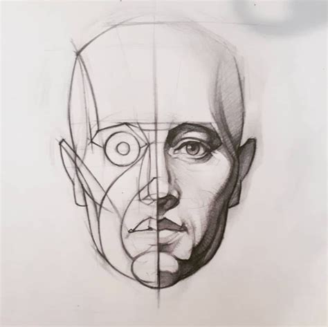 Pin By Gene Begay On Human Head Studies Face Drawing Drawing Heads