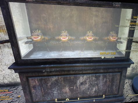 Bethesda added display cases to fallout 76 so of course this is the