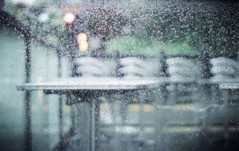 We are reverting to warming dinners that conjure warmer climes. Diners more likely to leave bad restaurant reviews on ...