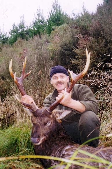 Sika Deer Nz Bowhunters