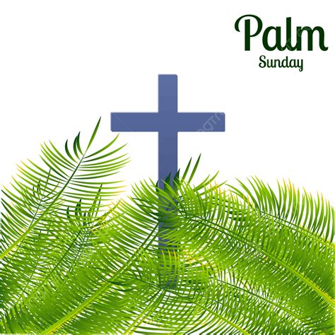Christian Cross Palm Sunday Event And Illustration With Transparent