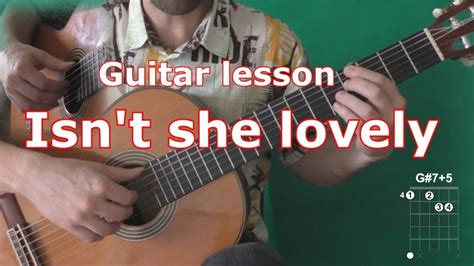 Isn T She Lovely Guitar Lesson Youtube