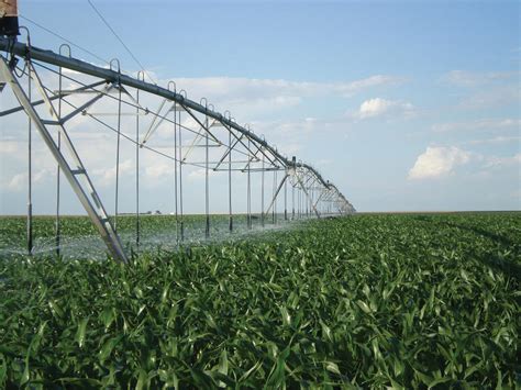 Super Spray Irrigation Corn Senninger Irrigation