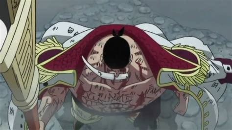 Whitebeard Last Battle Youtube