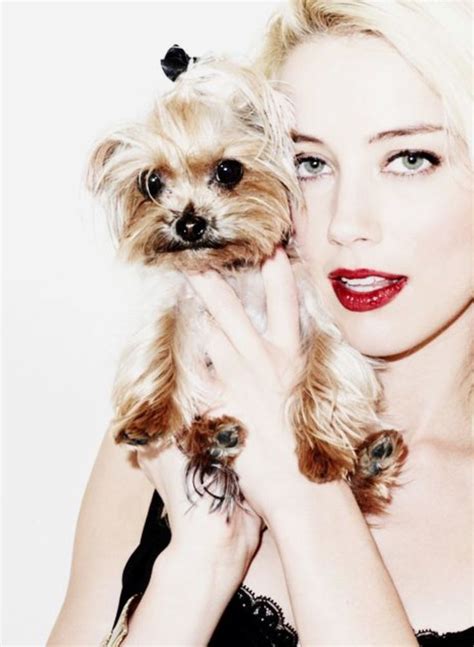 Pin By Chelle M On Famous Female Faces Amber Heard Amber Heard Photos Sparkle Diamonds