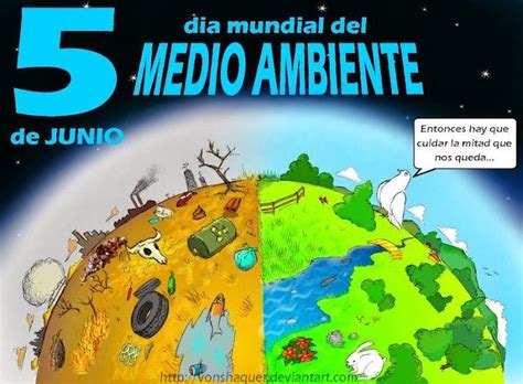 Carteles Del Cuidado Del Medio Ambiente Con Material Reciclable