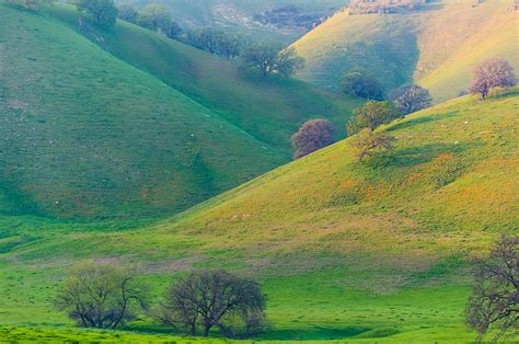 Afternoon Light On Hills Photograph By Marc Crumpler Fine Art America