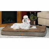Best Orthopedic Beds For Dogs