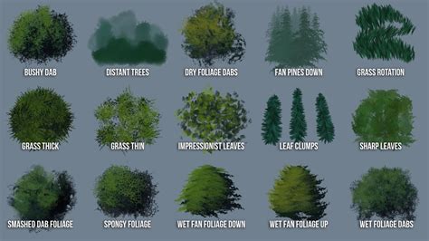 Foliage Custom Tree Brushes For Photoshop And Adobe Fresco Youtube