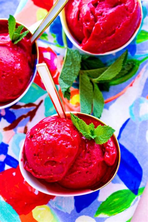 Raspberry Sorbet Food Folks And Fun