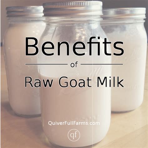 This can be a huge benefit if you're like me and have a tough time trying to get goat's milk is easier to digest than cow's milk. Benefits of Raw Goat Milk - Quiver Full Farms