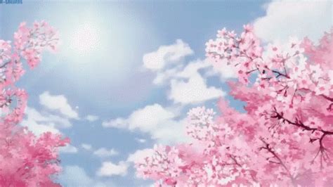 Look at links below to get more options for getting and using clip art. Flowers Sakura GIF - Flowers Sakura CherryBlossom ...