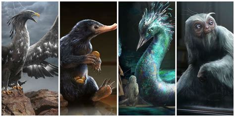 Fantastic Beasts And How To Make Them Fantastic Beasts Creatures