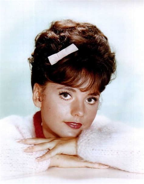 Discover the magic of the internet at imgur, a community powered entertainment destination. 65 Sexy Pictures Of Dawn Wells Will Leave You Flabbergasted By Her Hot Magnificence - GEEKS ON ...