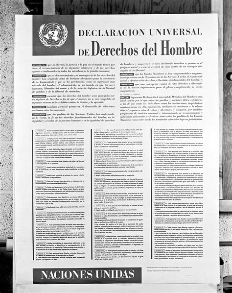 Triptico Declaracion Universal De Los Derechos Humanos Derechos Images