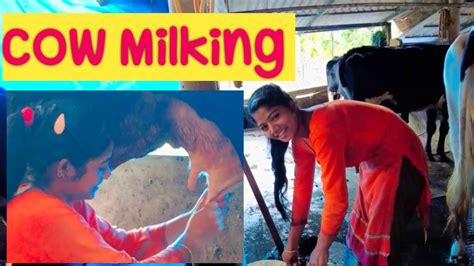 nepali girl milking cows by hand kerala jyothimani vlog youtube