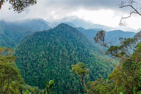 Visit Pico Bonito National Park Exclusive Travel To Honduras Landed
